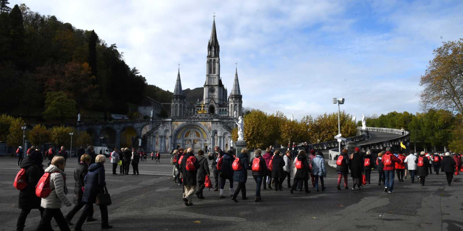 Ancolies 2023 à Lourdes