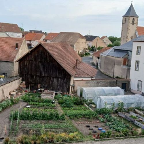 Potager.jpg